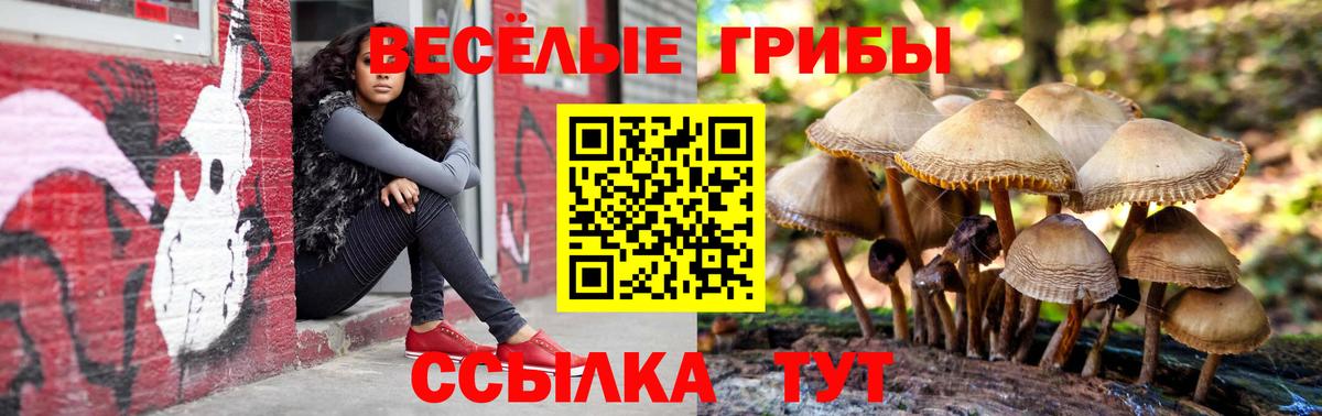 Псилоцибиновые грибы Psilocybine cubensis  Вход с VPN  где купить наркоту  Уссурийск  Галлюциногенные грибы MAGIC MUSHROOMS 