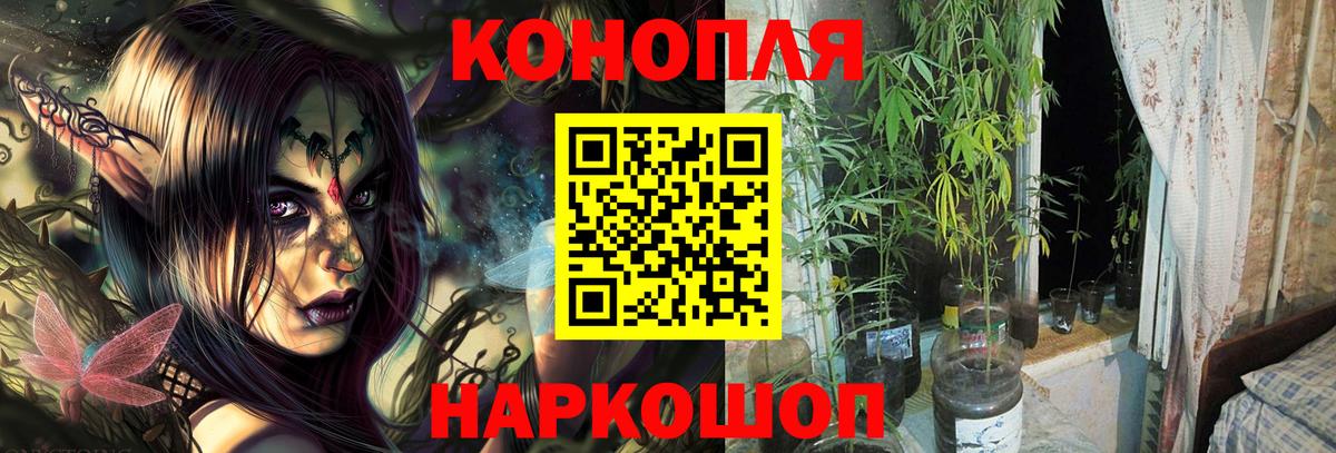 Канабис OG Kush Уссурийск